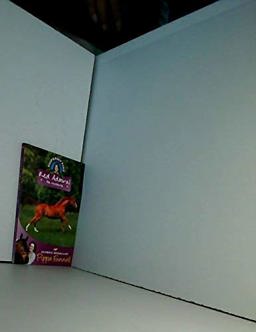 Red Admiral *Custom 2012*