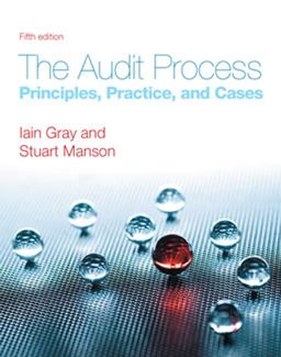 The Audit Process