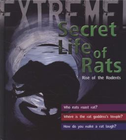 Secret Life of Rats
