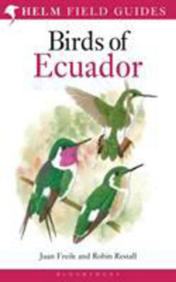 Field Guide to the Birds of Ecuador  9781408105337 Front Cover