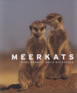 Meerkats Meerkats