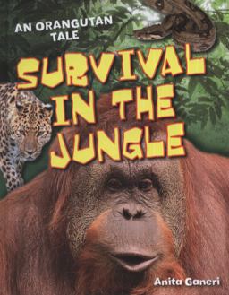 Survival in the Jungle