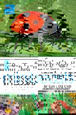 RSPB First Book of Minibeasts  9781408137154 Front Cover