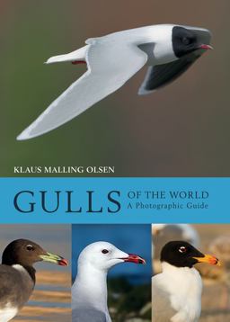 Gulls of the World A Photographic Guide  9781408181645 Front Cover