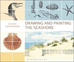 Drawing and Painting the Seashore  9781408184004 Front Cover