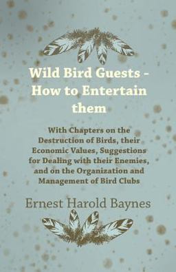 Wild Bird Guests - How to Entertain Them Wild Bird Guests - How to Entertain Them