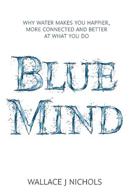 Blue Mind How Water Makes You Happier, More Connected and Better at What You Do  9781408704868 Front Cover