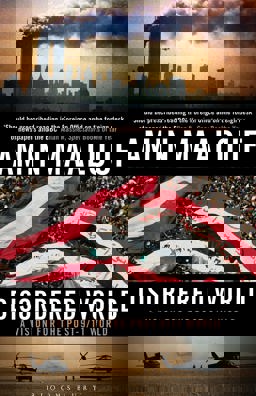 Disordered World A Vision for the Post-9/11 World  9781408822449 Front Cover