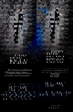 Divided Kingdom  9781408833124 Front Cover