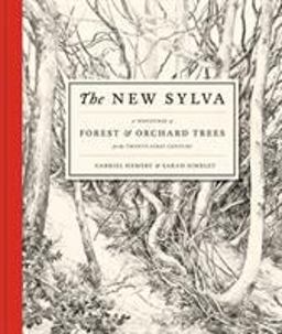 New Sylva A Discourse of Forest and Orchard Trees for the Twenty-First Century  9781408835449 Front Cover