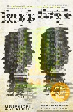 Pretty Is A Novel 2015 9781409152675 Front Cover