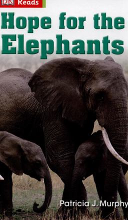 Hope for the Elephants