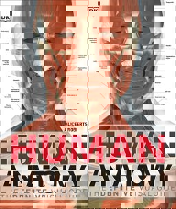 Human Anatomy  9781409347361 Front Cover