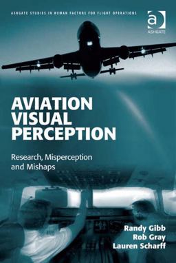 Aviation Visual Perception