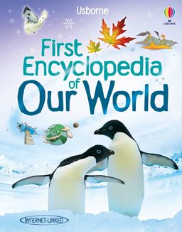 First Encyclopedia of Our World  9781409514305 Front Cover