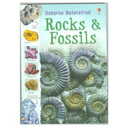 Rocks and Fossils  9781409527695 Front Cover