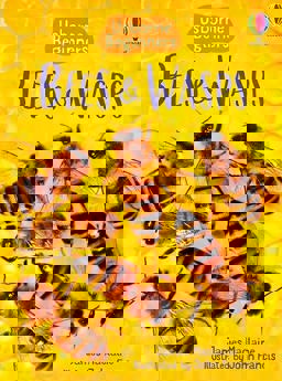 Bees and Wasps (Beginners)