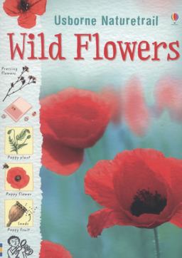 Wild Flowers