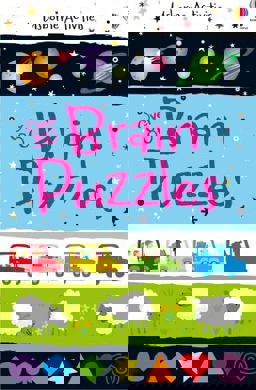 Over 80 Brain Puzzles  9781409584551 Front Cover