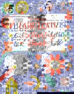 Usborne Fabulous Activity Book  9781409586661 Front Cover