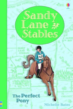 Sandy Lane Stables the Perfect Pony  9781409590675 Front Cover