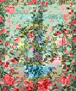 Peep Inside a Fairy Tale Sleeping Beauty  9781409599135 Front Cover