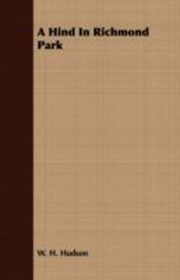 A Hind in Richmond Park