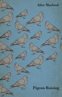 Pigeon Raising