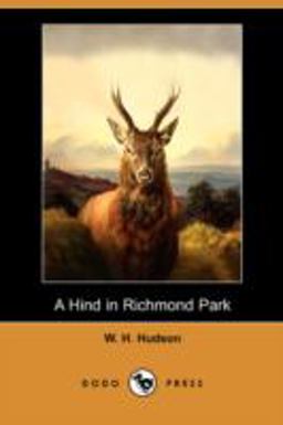 A Hind in Richmond Park