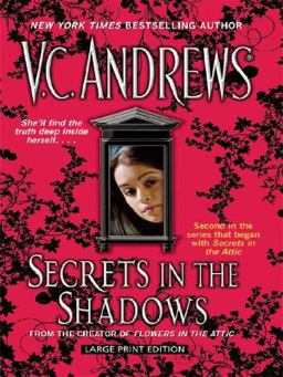 Secrets in the Shadows