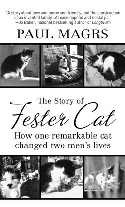 The Story of Fester Cat