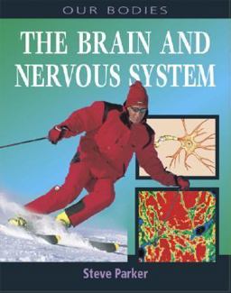 The Brain and Nervous System