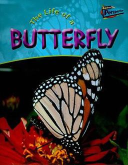 The Life of a Butterfly