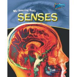 Senses