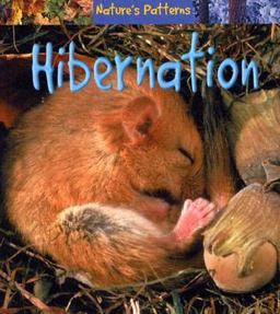 Hibernation