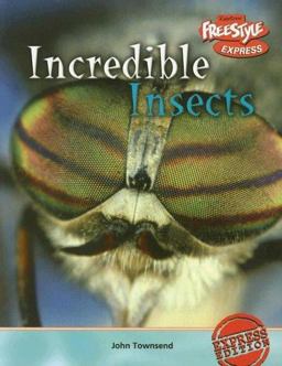 Incredible Insects
