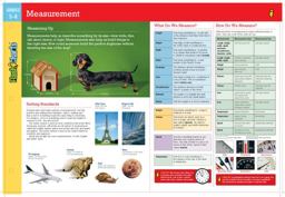 Measurement FlashCharts