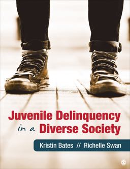 Juvenile Delinquency in a Diverse Society  9781412998123 Front Cover