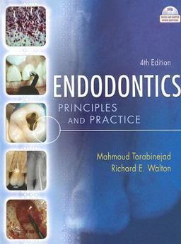Endodontics Principles and Practice 4th 9781416038511 Front Cover
