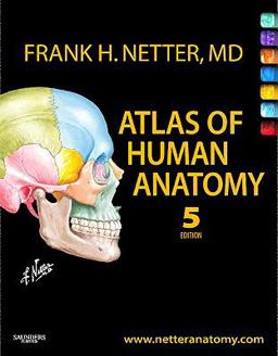 Atlas of Human Anatomy 5th 9781416059516 Front Cover