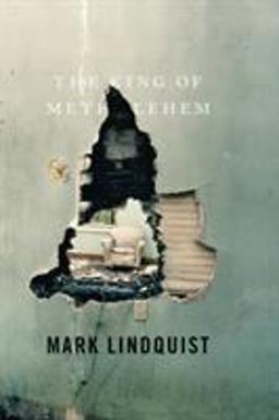 King of Methlehem A Novel  9781416535782 Front Cover