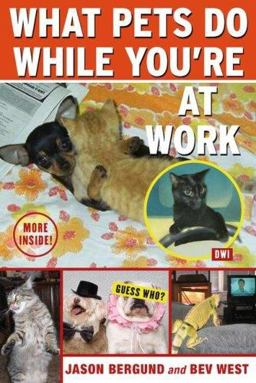 What Pets Do While You're at Work