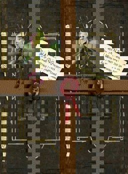 Arthur Spiderwick's Field Guide  9781416901365 Front Cover