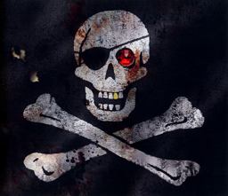 Pirates  9781416927341 Front Cover