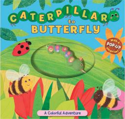 Caterpillar to Butterfly