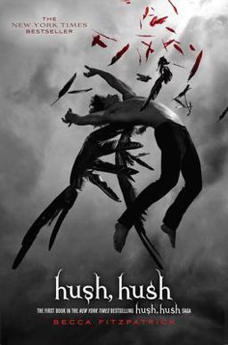 Hush, Hush  9781416989424 Front Cover
