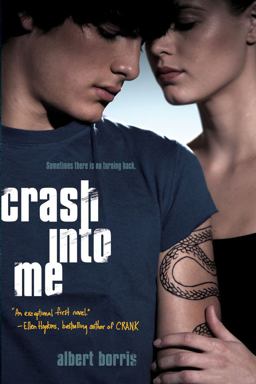 Crash into Me  9781416998273 Front Cover