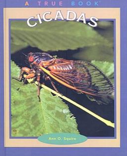 Cicadas