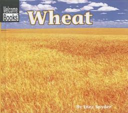 Wheat