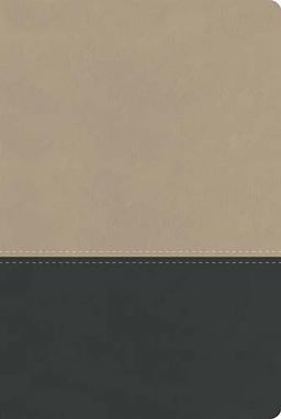 The Lucado Life Lessons Study Bible, NKJV